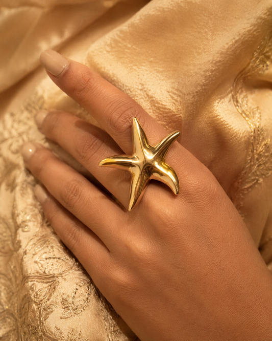 THE STAR FOUND MOONLIGHT