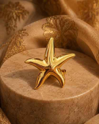 THE STAR FOUND MOONLIGHT