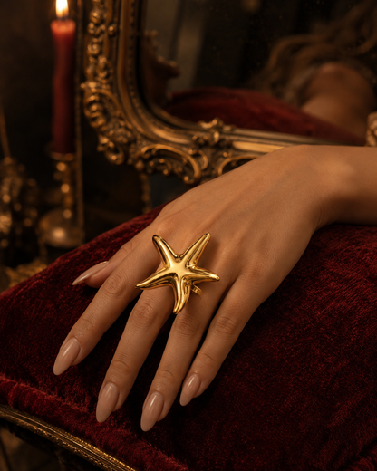 THE STAR FOUND MOONLIGHT